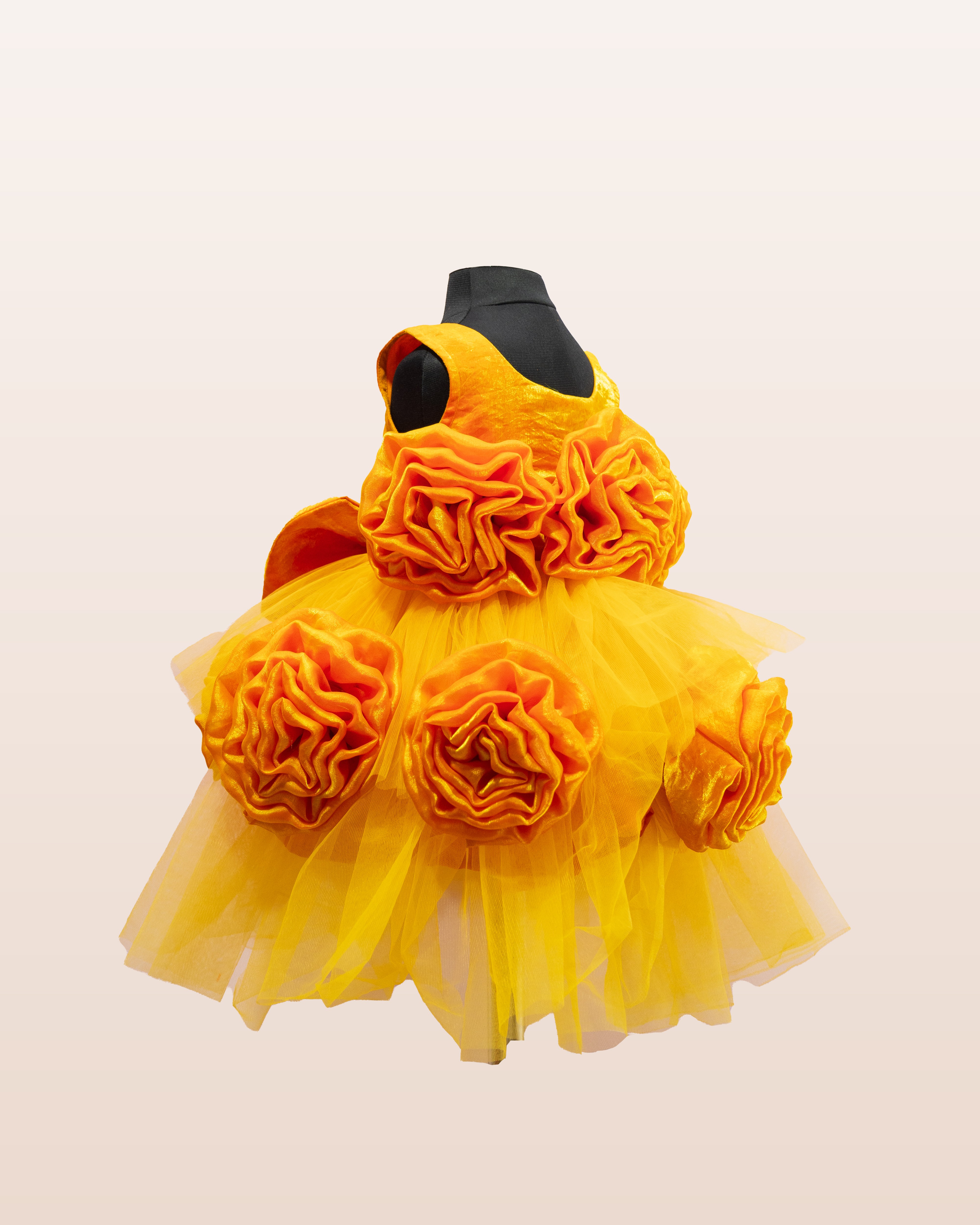 Golden Rose Princess Dress Golden Rose Princess Dress