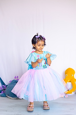 Ariel Dreamland Gown Ariel Dreamland Gown
