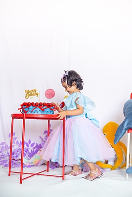 Ariel Dreamland Gown Ariel Dreamland Gown
