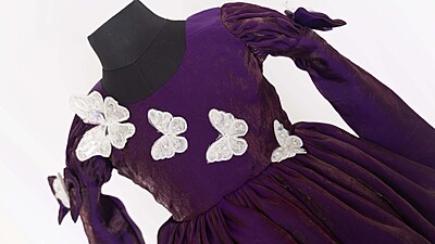 Royal Flutter Velvet Dress Royal Flutter Velvet Dress