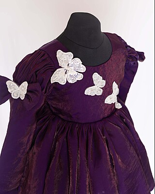 Royal Flutter Velvet Dress Royal Flutter Velvet Dress