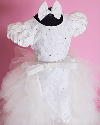 Frosted Ruffles Princess Gown Frosted Ruffles Princess Gown
