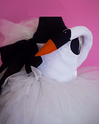 Swan Serenade Tutu Swan Serenade Tutu