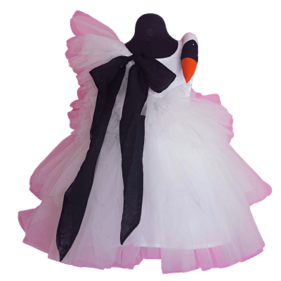 Swan Serenade Tutu Swan Serenade Tutu
