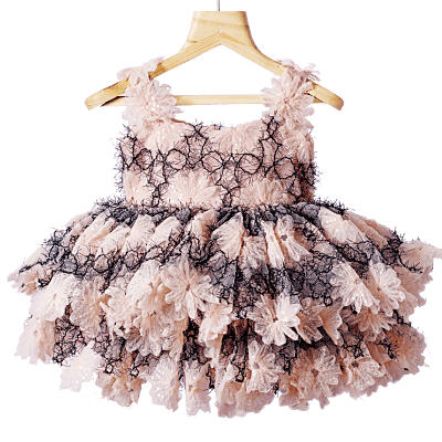 Floral Fantasy Lace Puff Dress Floral Fantasy Lace Puff Dress